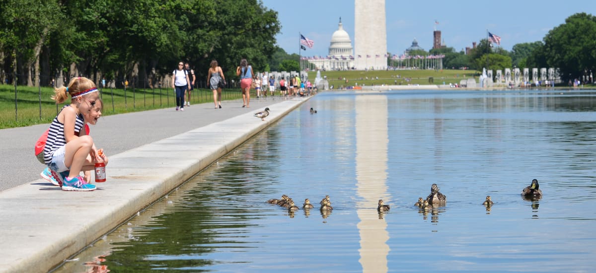 Two girls watching the ducks at the Washington Monument reflecting pool
